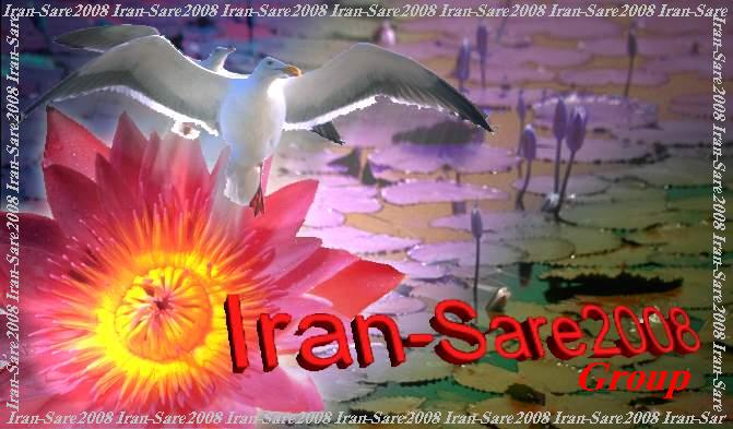 Iran-Sare2008's Groups